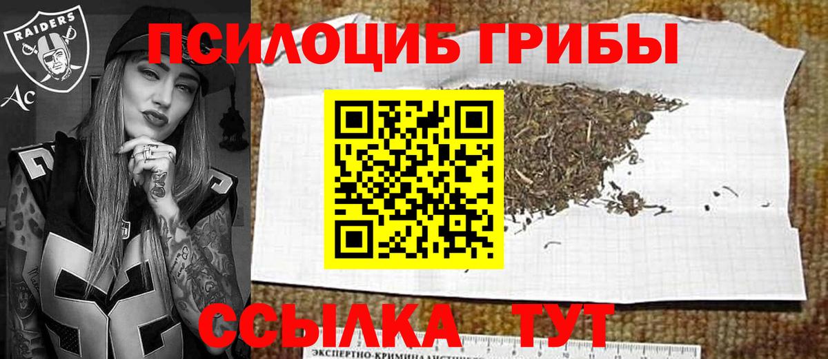 Галлюциногенные грибы Cubensis  Вход с VPN  Прохладный 